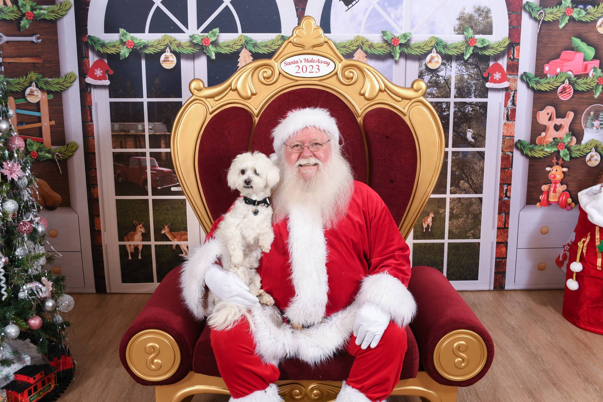 Pet Santa Photos