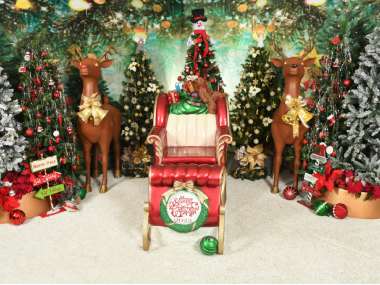 Santa Hideaway 2